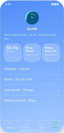 Pet Grooming Salon prototype screen showing Salon Chat