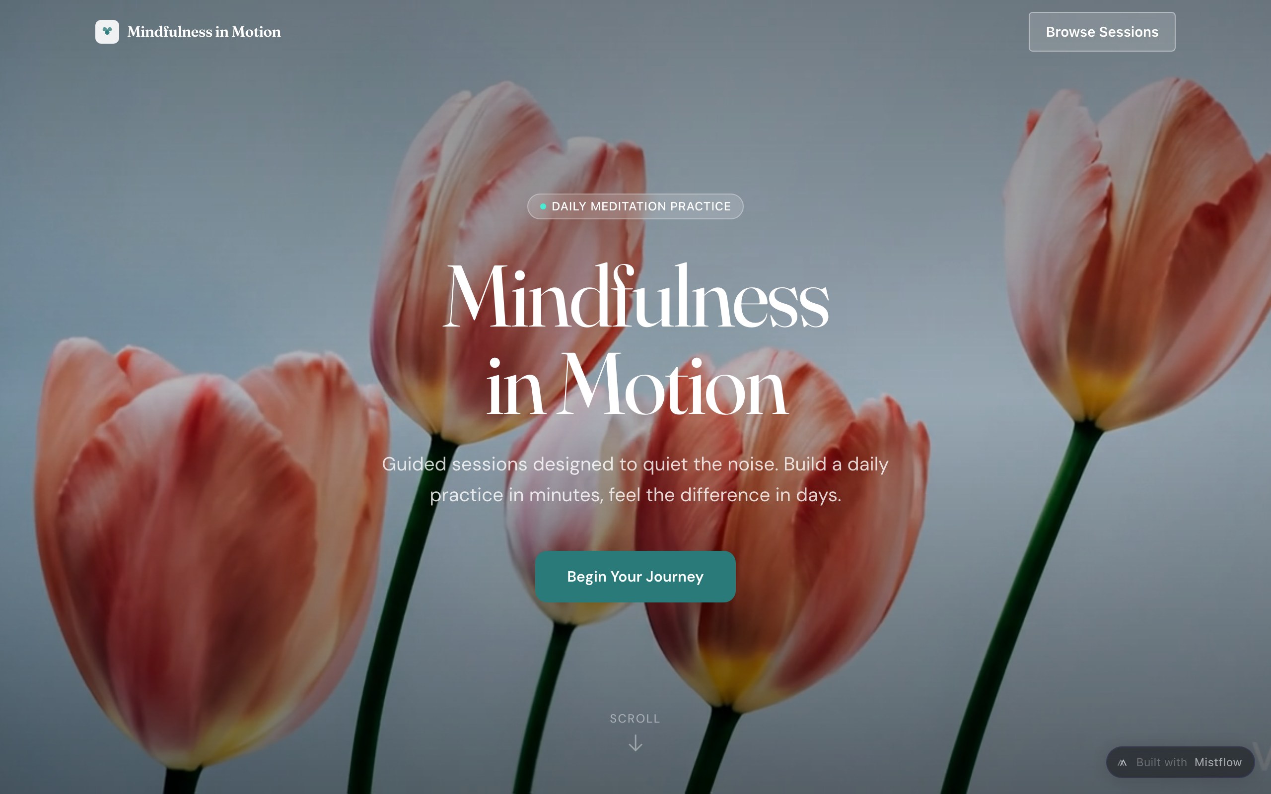 Mindfulness in Motion